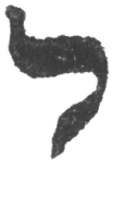 Detailansicht des Buchstabens lamed