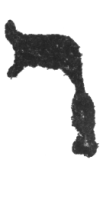 Detailansicht des Buchstabens resch