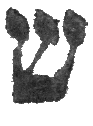Detailansicht des Buchstabens shin