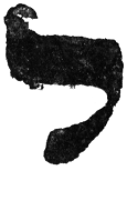 Detailansicht des Buchstabens lamed