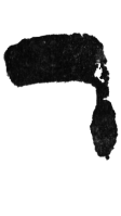 Detailansicht des Buchstabens resch