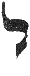 Detailansicht des Buchstabens lamed