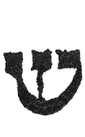 Detailansicht des Buchstabens schin