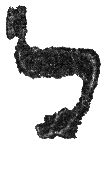 Detailansicht des Buchstabens lamed