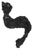 Detailansicht des Buchstabens lamed