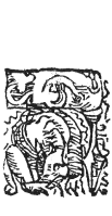 Detailansicht des Buchstabens resch