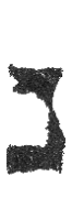 Detailansicht des Buchstabens nun
