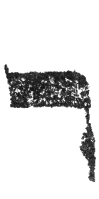Detailansicht des Buchstabens resch